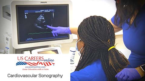 Cardiac Sonographers at work.